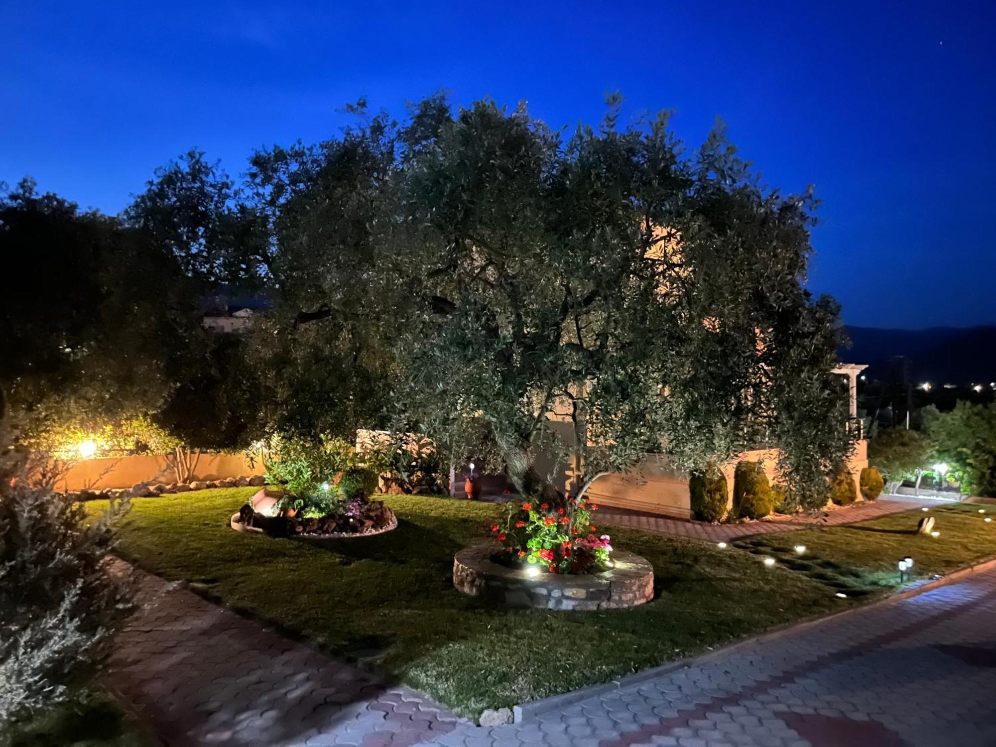 דירות לימנריה En Ethria מראה חיצוני תמונה